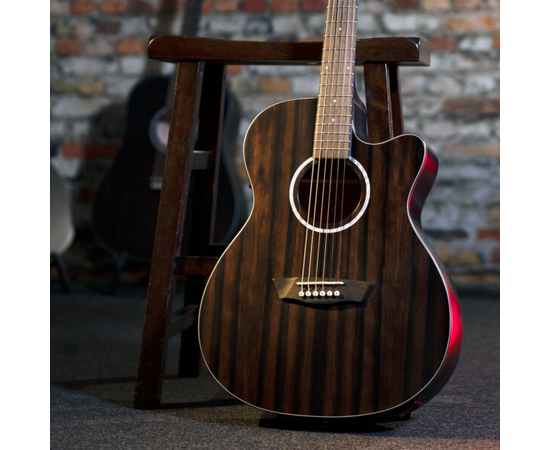 Електроакустична гітара Washburn DFEACE-U