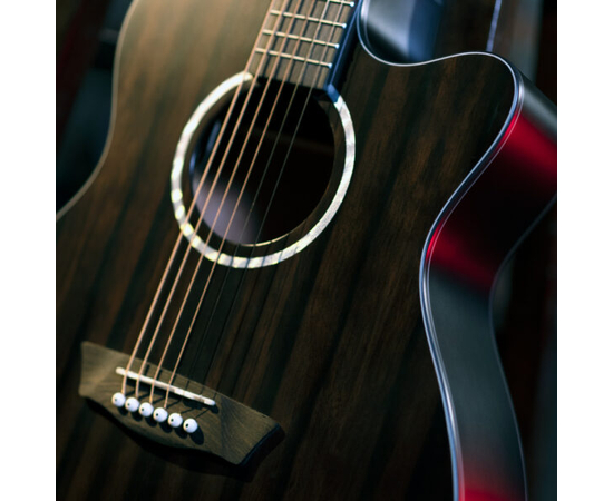 Електроакустична гітара Washburn DFEACE-U
