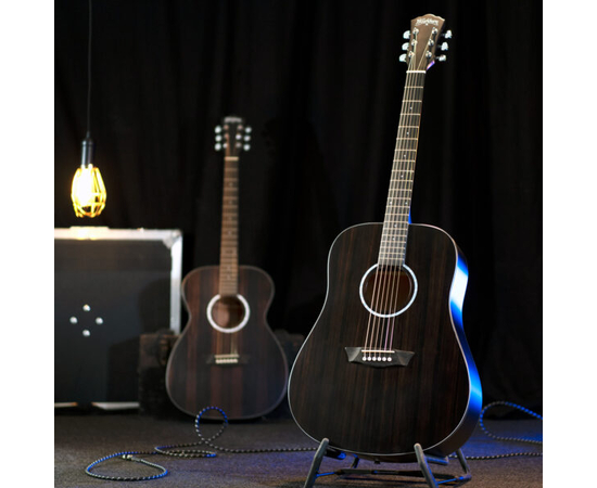 Акустическая гитара Washburn DFED-U