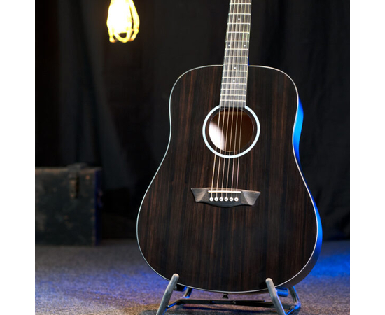 Акустическая гитара Washburn DFED-U