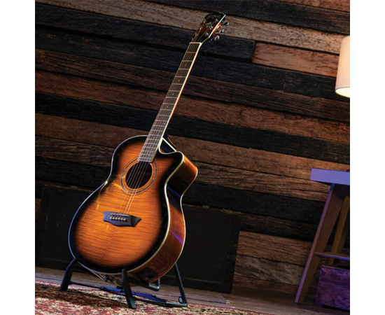 Електроакустична гітара Washburn EA15ATB-A-U