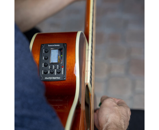 Електроакустична гітара Washburn EA15ITB-A-U