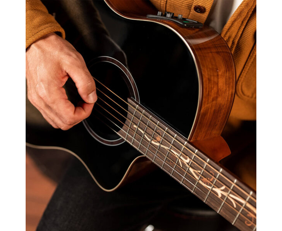 Электроакустическая гитара Washburn VITE S9V (BTS9VCECH-D-U)