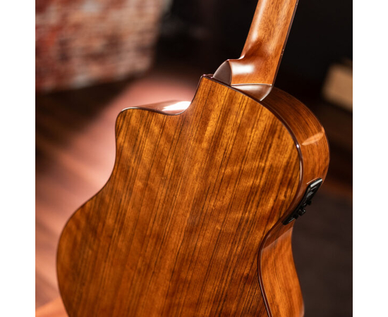 Электроакустическая гитара Washburn VITE S9V (BTS9VCECH-D-U)