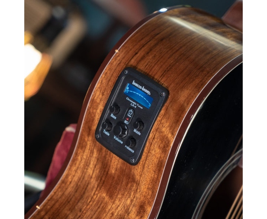 Электроакустическая гитара Washburn VITE S9V (BTS9VCECH-D-U)