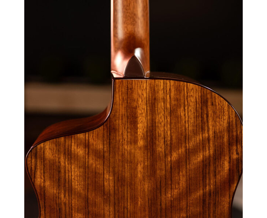 Электроакустическая гитара Washburn VITE S9V (BTS9VCECH-D-U)