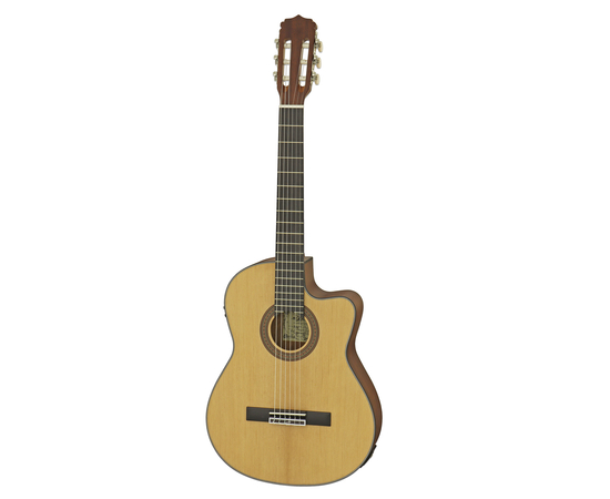 Классическая гитара со звукоснимателем Aria A-10CE MTN - 160963 за 8712 грн. | 4Club