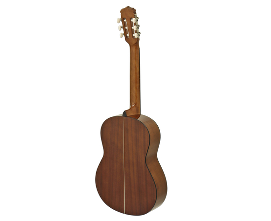 Класична гітара Aria A-10 N