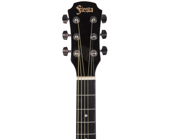 Акустическая гитара Aria FST-300 BS