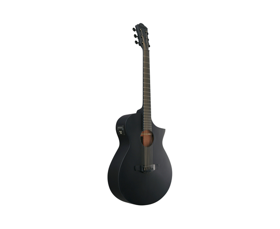 Гитара электроакустическая IBANEZ AEWC621 BOT