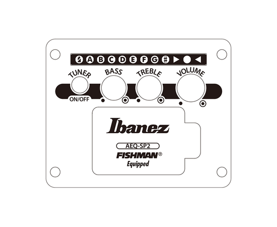 Гитара электроакустическая IBANEZ AEWC621 BOT
