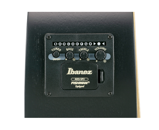 Гитара электроакустическая IBANEZ AEWC621 BOT