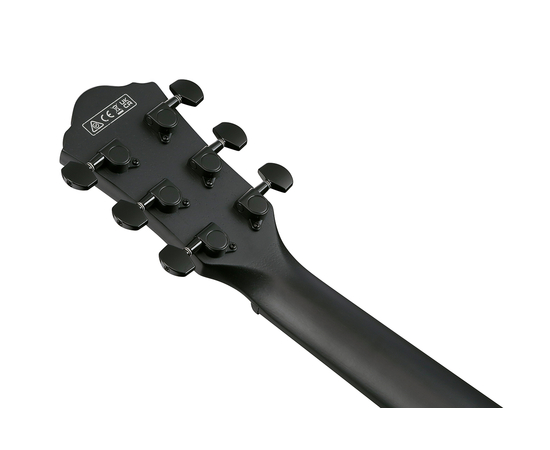 Гитара электроакустическая IBANEZ AEWC621 BOT