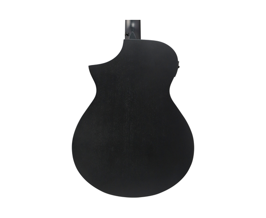 Гитара электроакустическая IBANEZ AEWC621 BOT