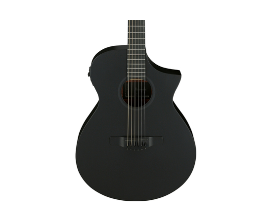 Гитара электроакустическая IBANEZ AEWC621 BOT