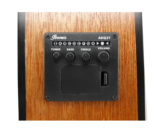 Класична гітара зі звукознімачем IBANEZ GA3ECE-OAM