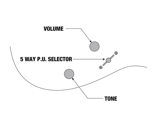 Электрогитара IBANEZ RG565R DY