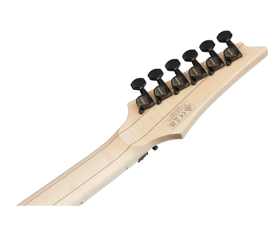 Электрогитара IBANEZ RG565R DY