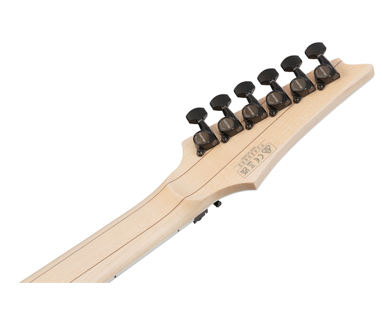 Электрогитара IBANEZ RG565R EB