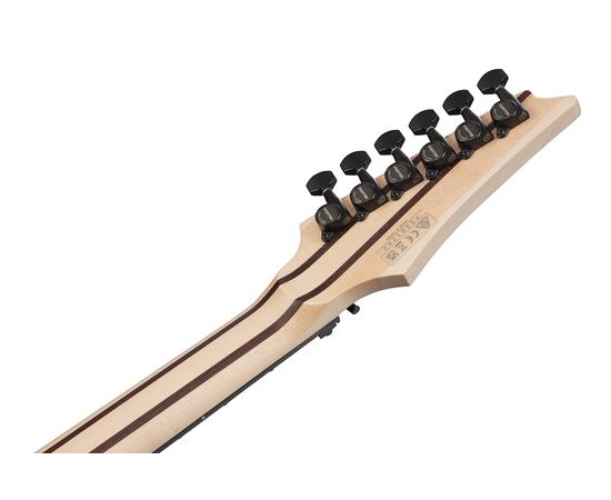 Електрогітара IBANEZ RGR5130 GRM