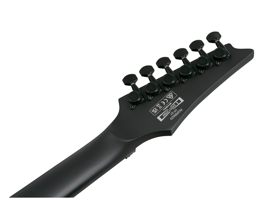 Электрогитара IBANEZ RGRB620 BKF