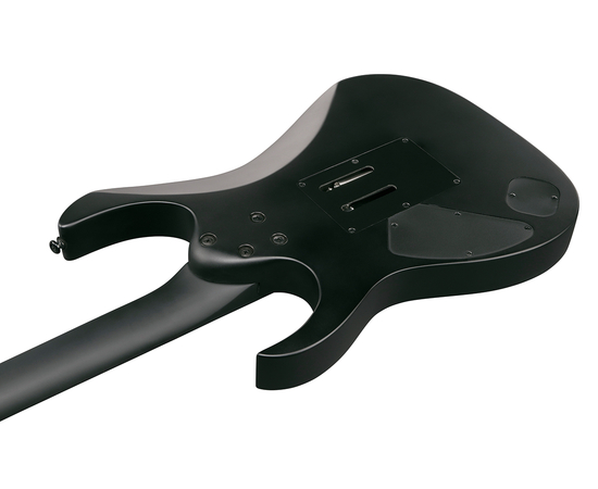 Электрогитара IBANEZ RGRB620 BKF