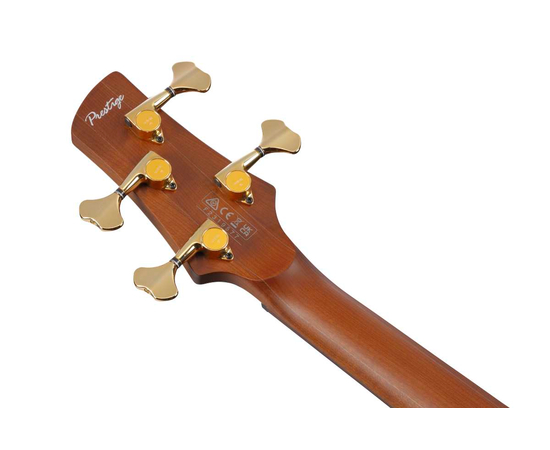 Бас-гітара IBANEZ SR3500-BK