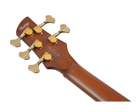 5-струнна бас-гітара IBANEZ SR3505-BK