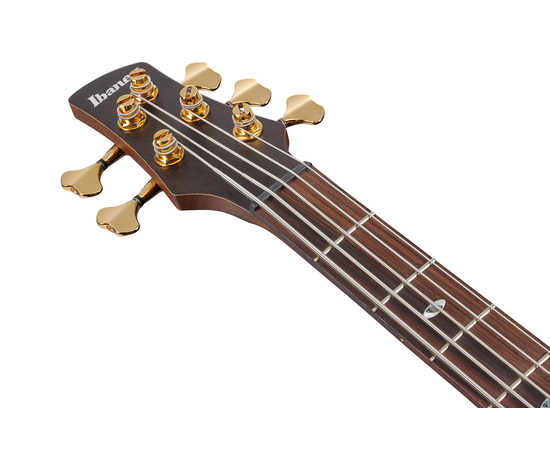 5-струнна бас-гітара IBANEZ SR3505-BK