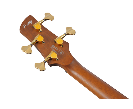 Бас-гітара IBANEZ SR4500-DST