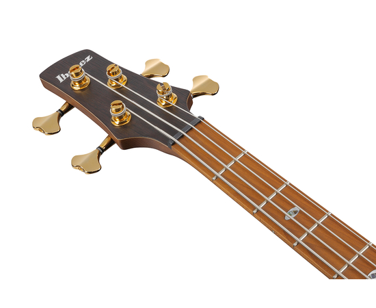 Бас-гітара IBANEZ SR4500-DST