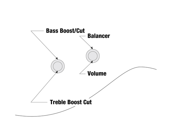 5-струнна бас-гітара IBANEZ TMB425B BKF