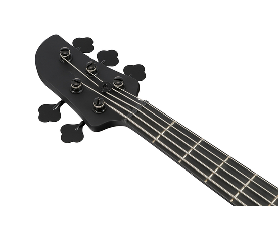 5-струнна бас-гітара IBANEZ TMB425B BKF