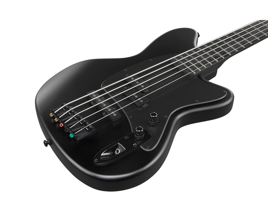 5-струнна бас-гітара IBANEZ TMB425B BKF