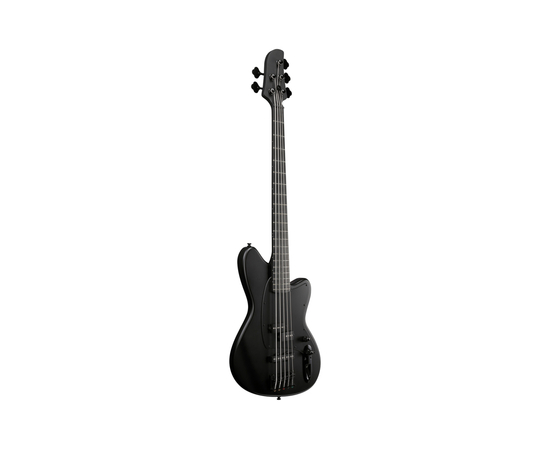 5-струнна бас-гітара IBANEZ TMB425B BKF