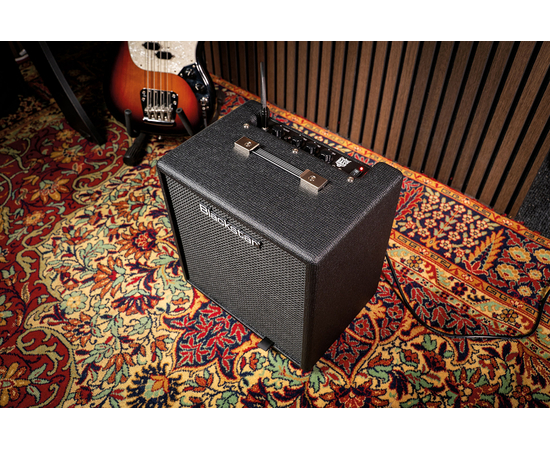 Гітарний комбопідсилювач BLACKSTAR DEBUT BASS 25