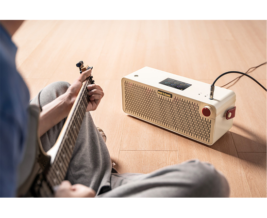 Гітарний комбопідсилювач HOTONE AUDIO PULZE LUNA