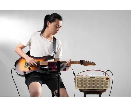 Гітарний комбопідсилювач HOTONE AUDIO PULZE LUNA