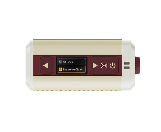 Гитарный комбоусилитель HOTONE AUDIO PULZE MINI