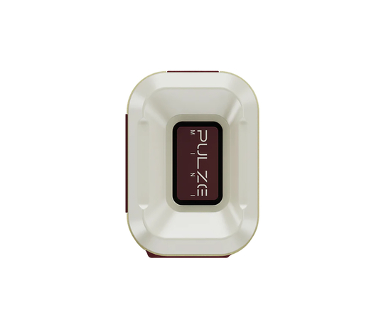 Гитарный комбоусилитель HOTONE AUDIO PULZE MINI