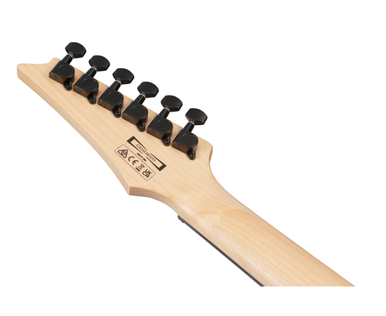 Электрогитара IBANEZ GRG120QASP-BKG