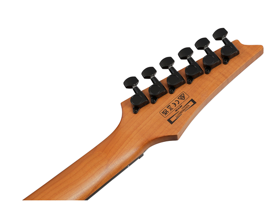 Електрогітара IBANEZ GRGR221FA-TDK