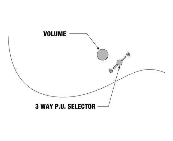7-струнна електрогітара IBANEZ K7YANG