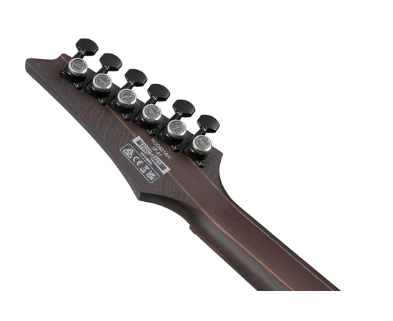 Електрогітара IBANEZ RGD621AH-MNF