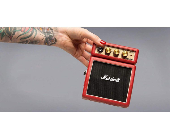 Микрокомбо MARSHALL MS-2R-E