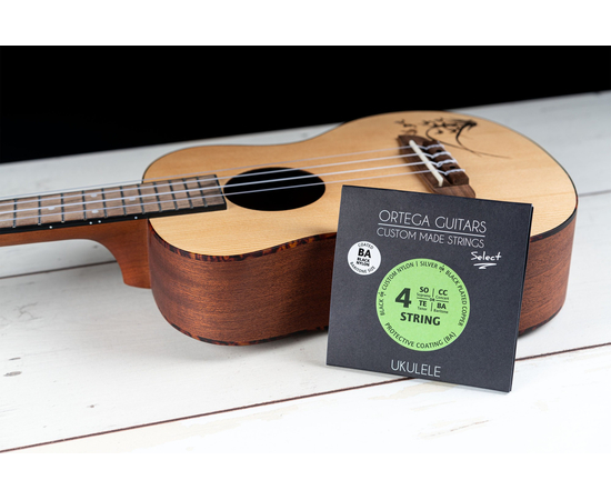 Струны для укулеле баритон Ortega Custom Select Black Nylon UKSBK-BA