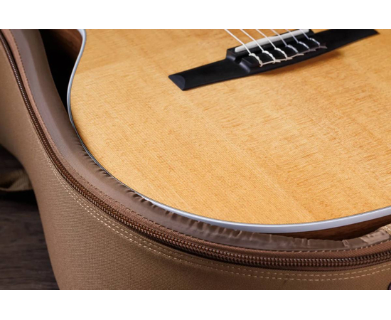 Классическая гитара со звукоснимателем TAYLOR 214Ce-N
