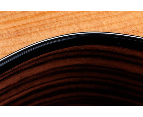 Гітара електроакустична TAYLOR GUITARS 214ce PLUS