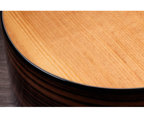 Гітара електроакустична TAYLOR GUITARS 214ce PLUS