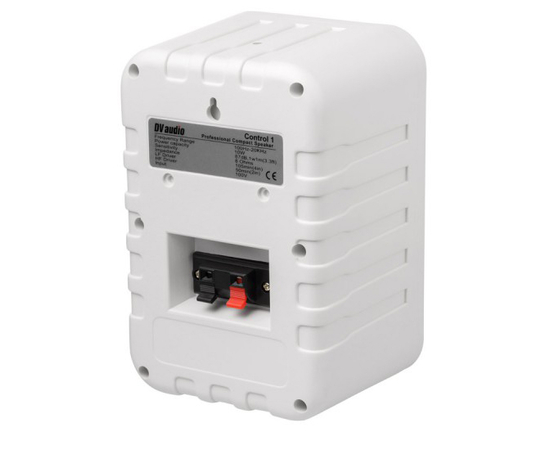 Комплект звука DV audio LA1008CON1W для помещения до 160 м.кв